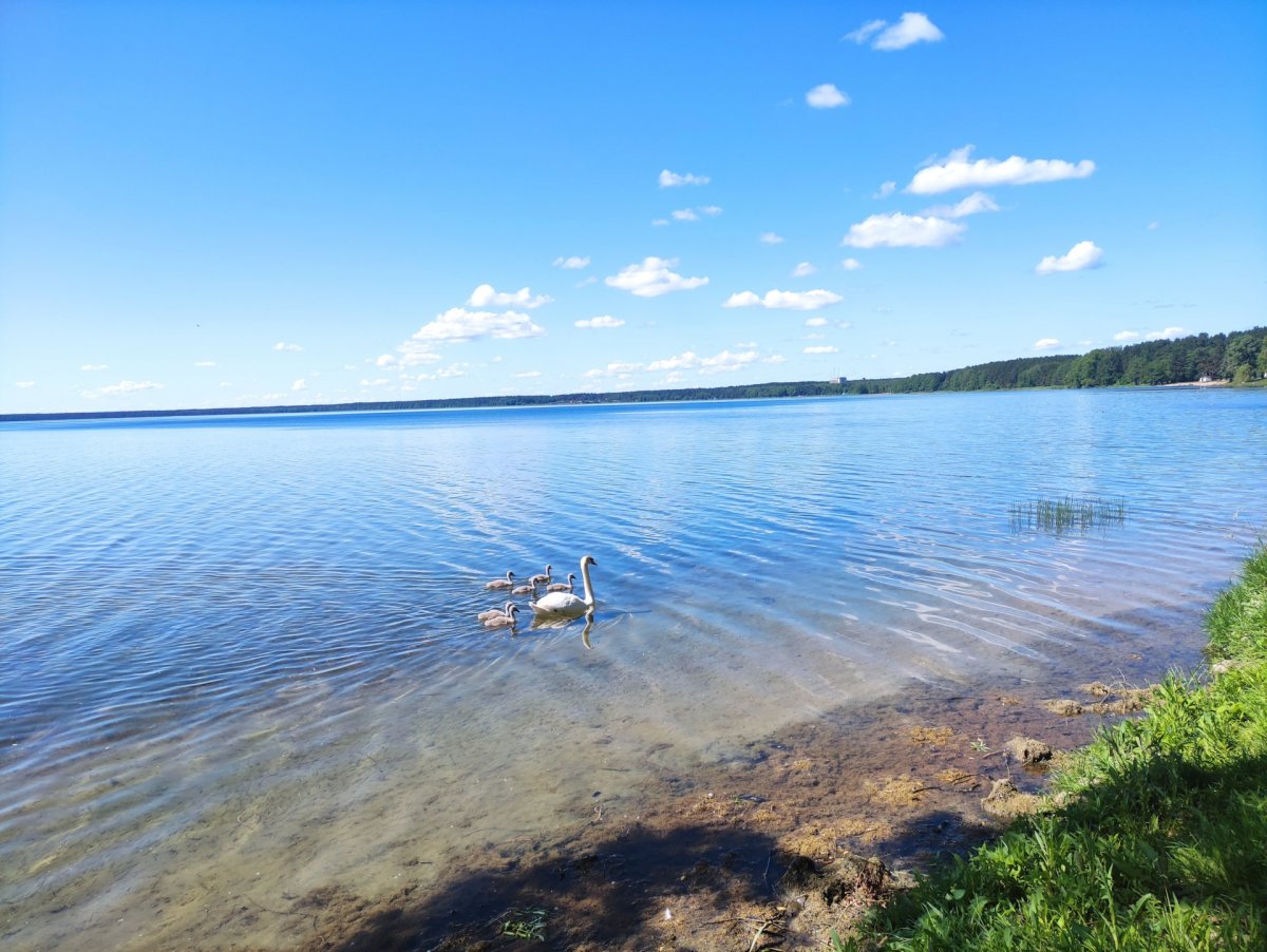 Голубое озеро Жигулевск
