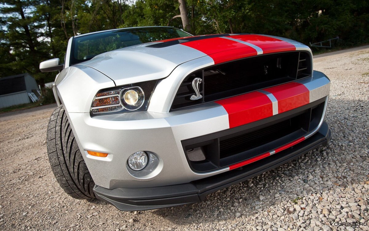 Мустанг Shelby gt500 Кобра 2013