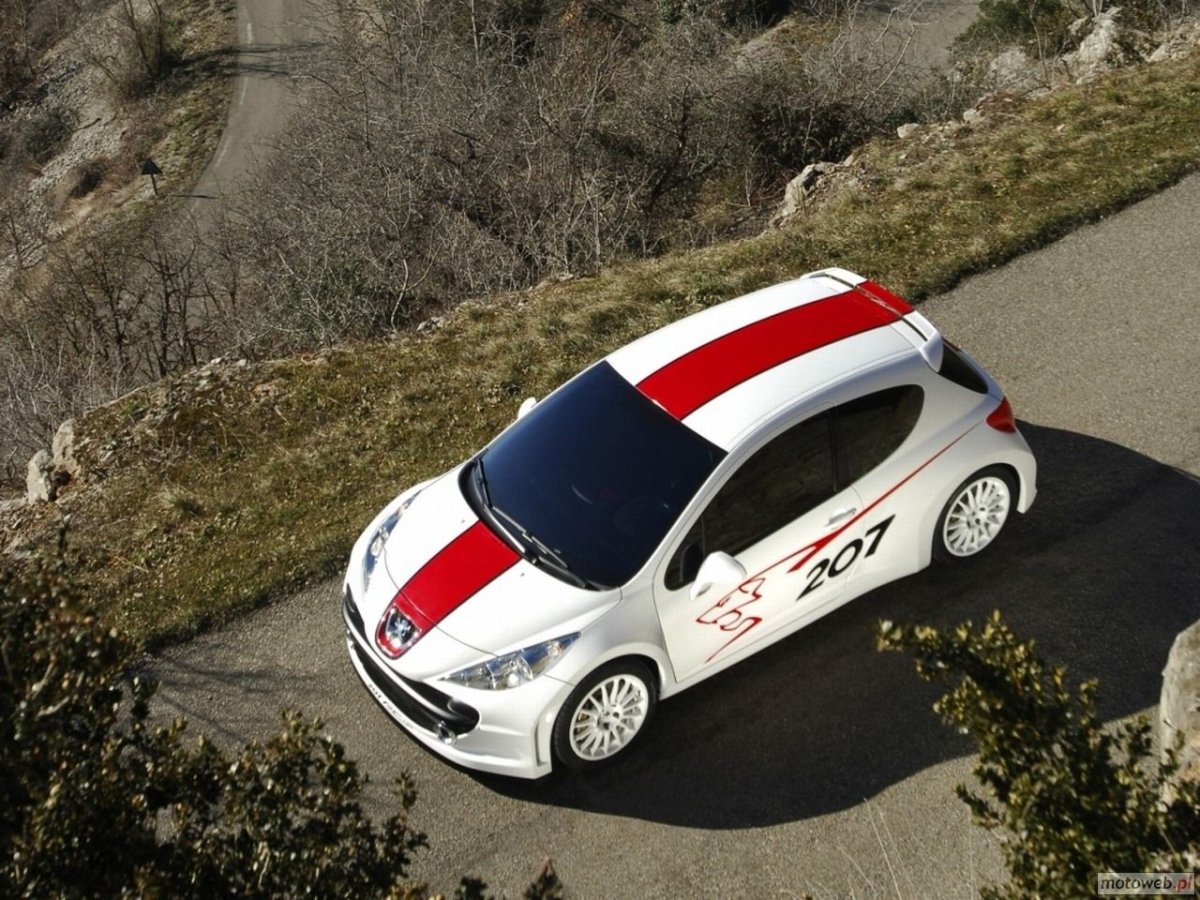 Peugeot 207 rcup