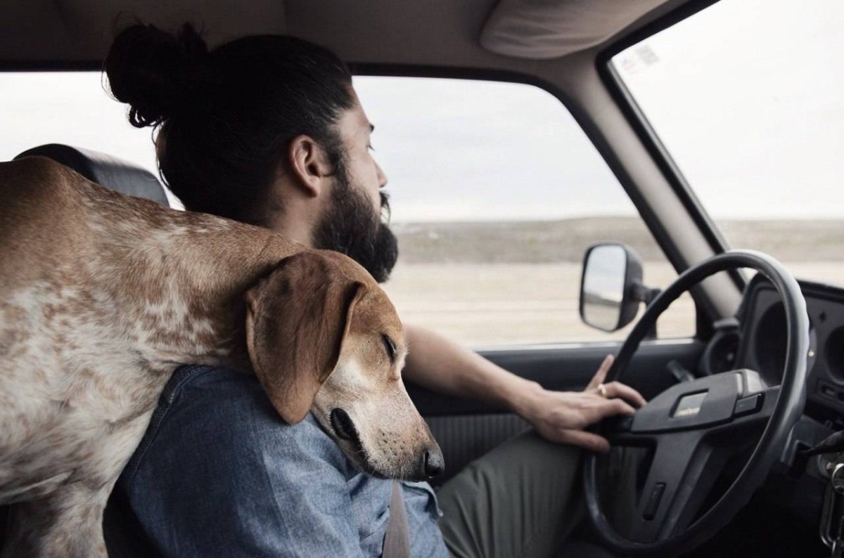 Мужчина с собакой в машине