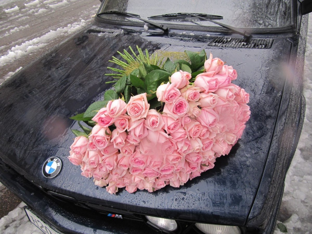 Цветы в машине