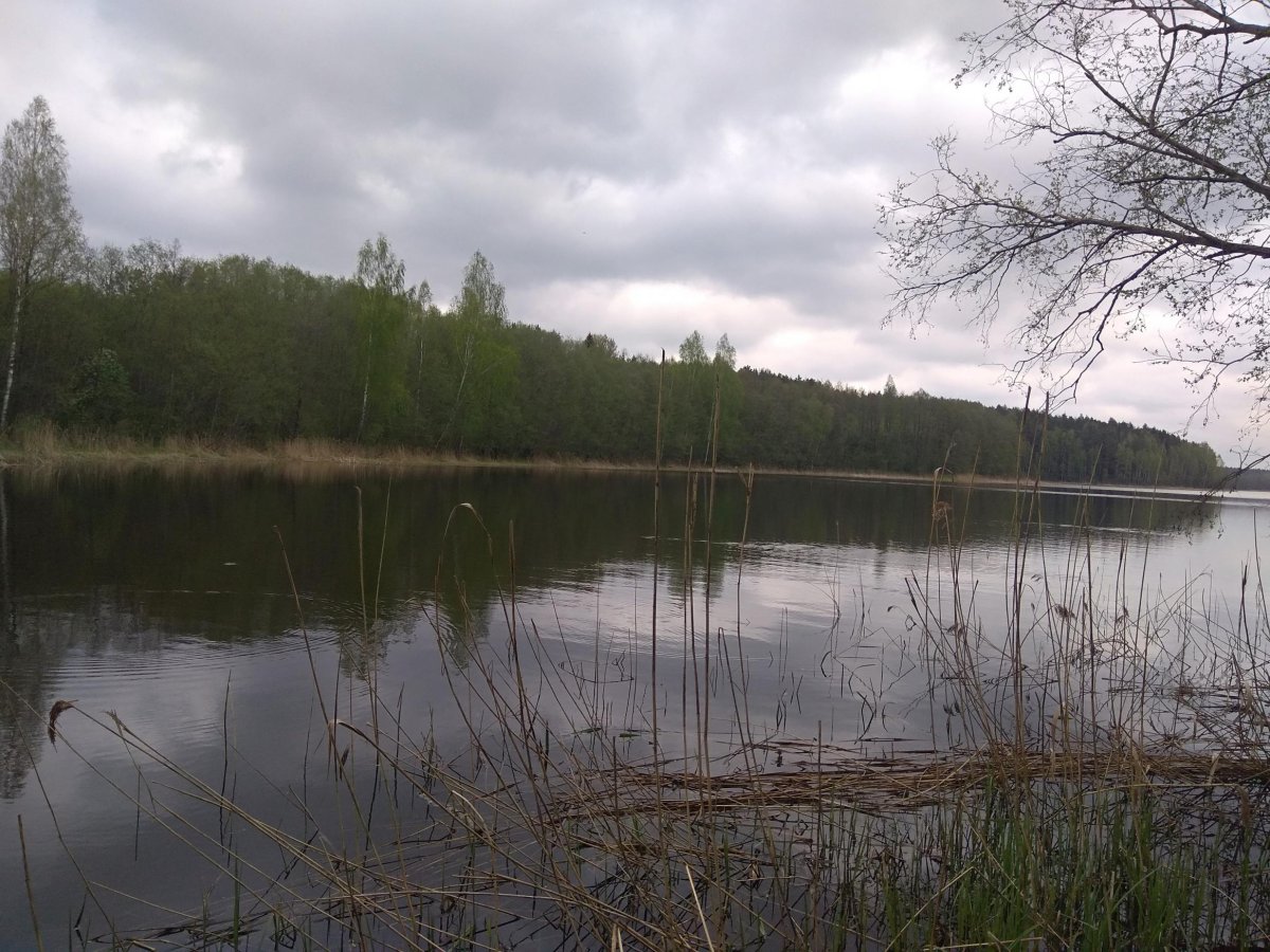 Озеро Церковище Глубокский район