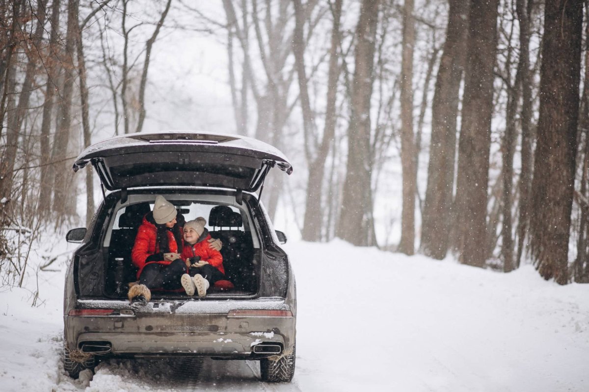 Выживание в машине зимой