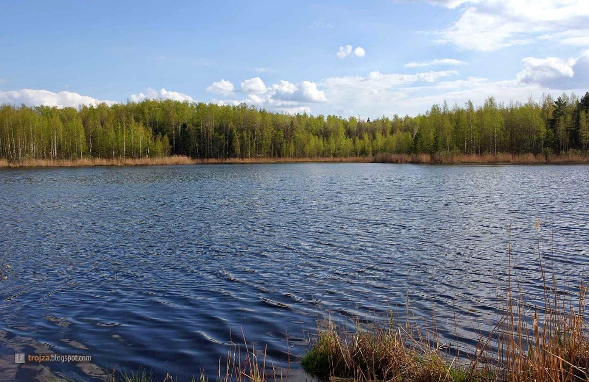 Данилищенское озеро Павловский Посад