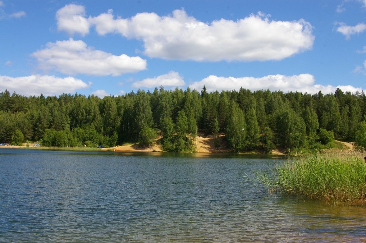 Озеро белое Тосненский район
