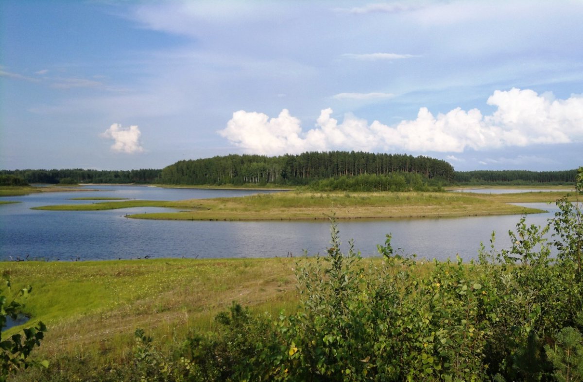 Озеро Ямное Новгородская область Хвойнинский район