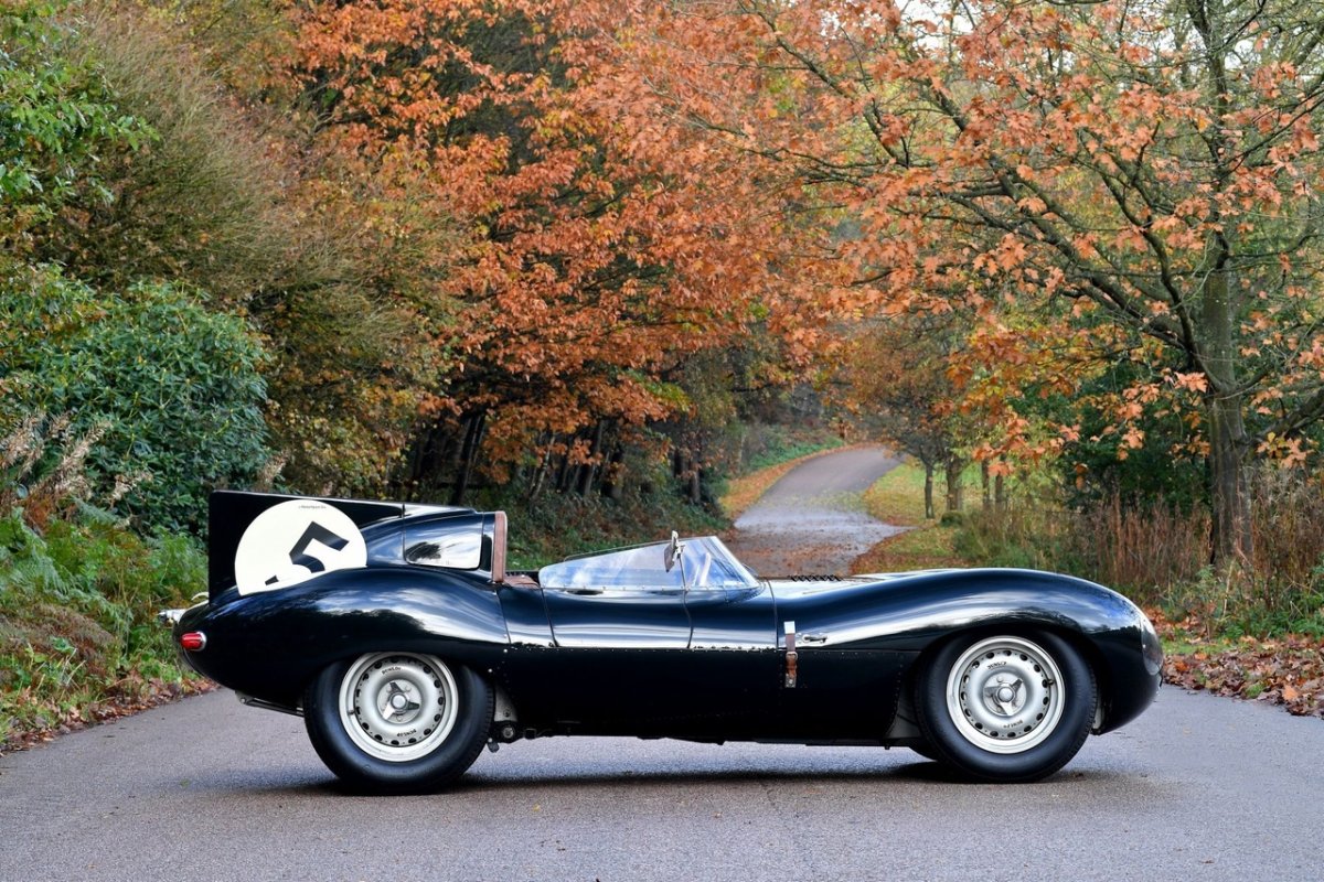 1956 Jaguar d-Type