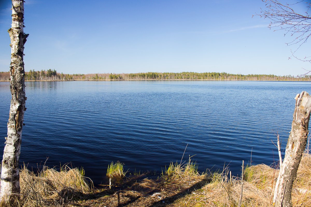 Боровское озеро Нижегородской области