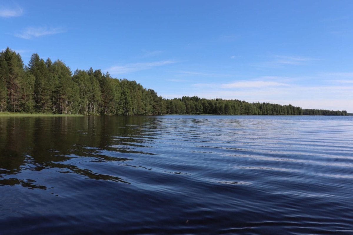 Озеро Куйто Карелия
