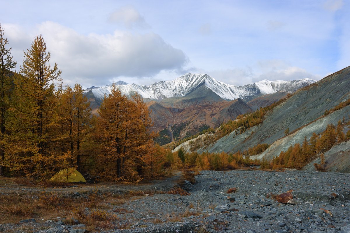 Фототур на Алтай осенью