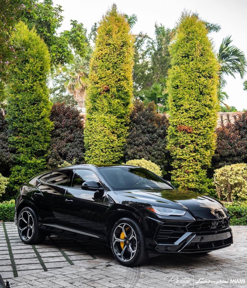 Lamborghini Urus черный