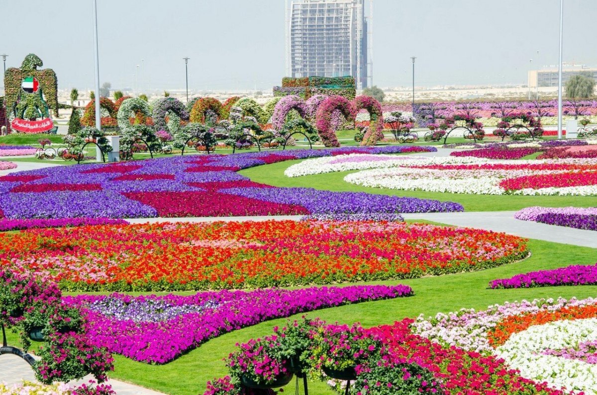 Цветочный парк Дубай Miracle Garden