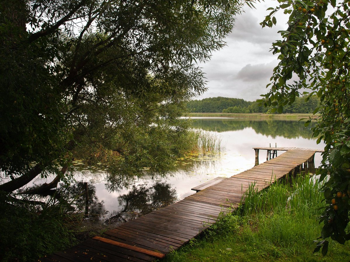 Озеро с мостком Новокузнецк