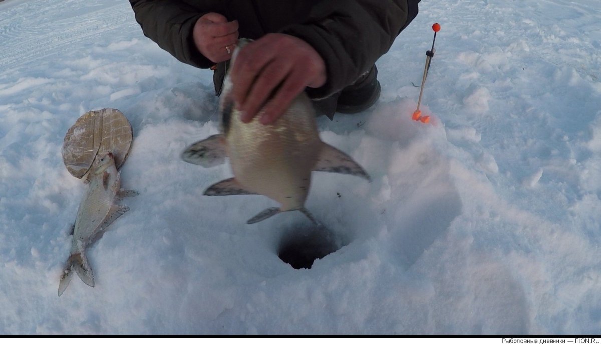 Рыбалка на Оби зимой