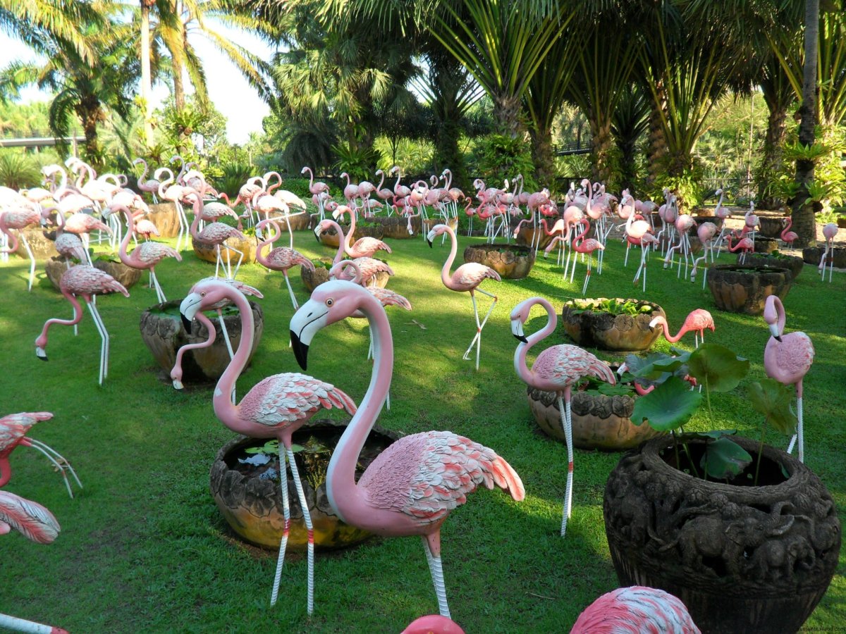 Ботанический сад Нонг Нуч в Паттайе