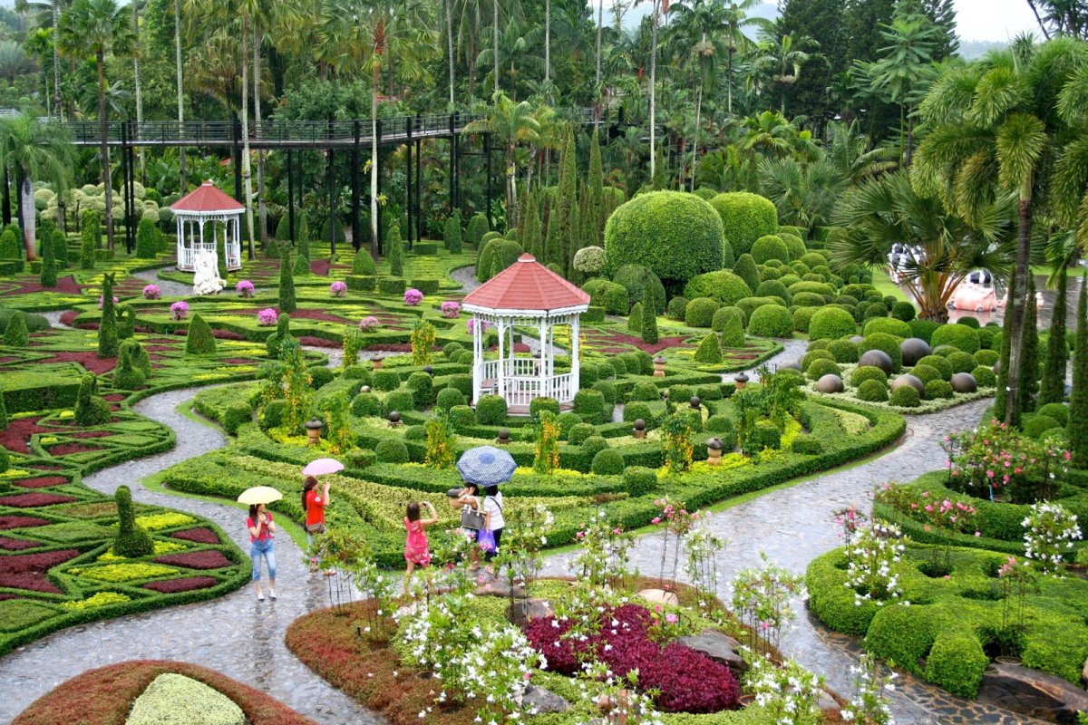 Тропического парка Нонг Нуч сад орхидей