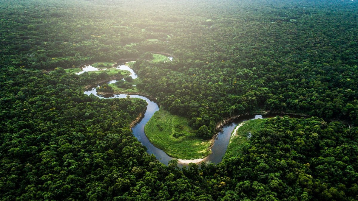 Амазонская Сельва Бразилии