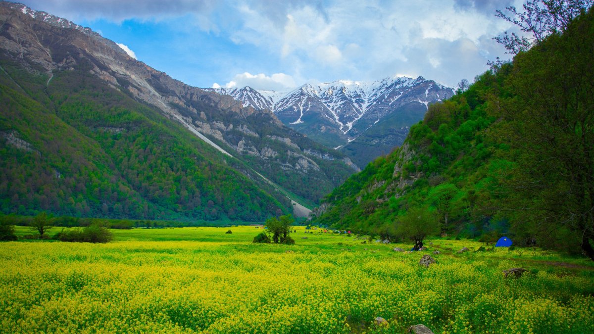 Узбекистан Альпийские Луга