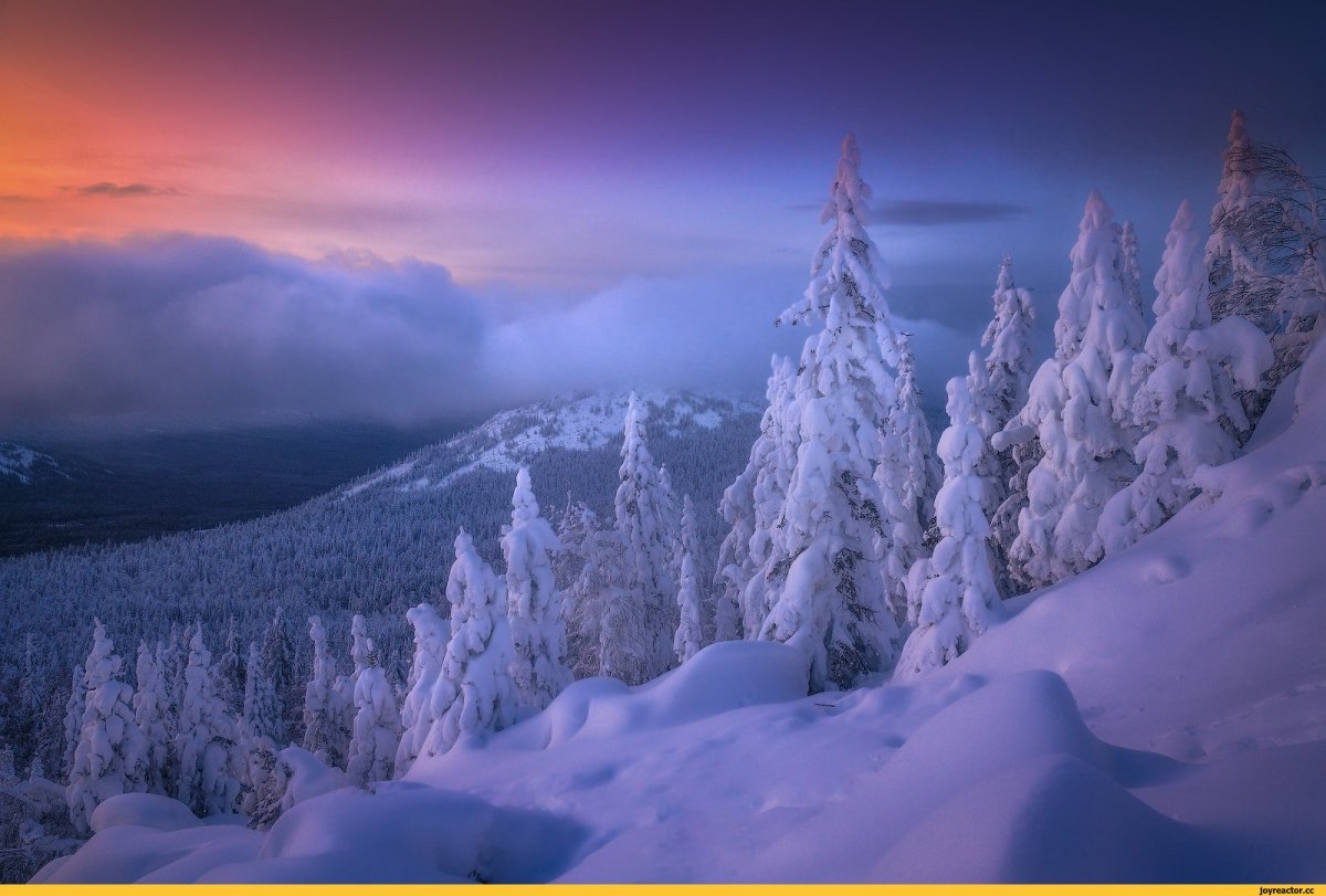 Красивые картинки природы необычные зима