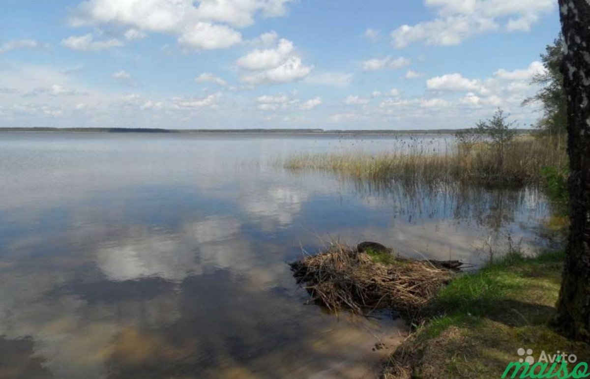 Вишневское озеро Беларусь