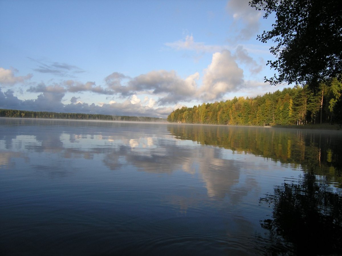 Озеро Лошево Бокситогорский район