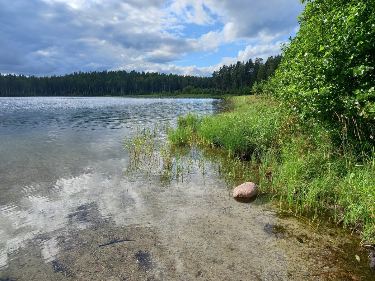 Озеро Снетковское Приозерский район