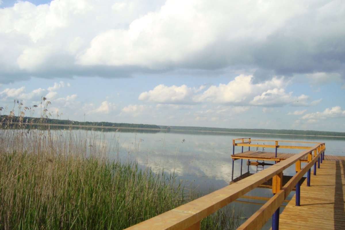 Озеро Вишневское Выборгский район