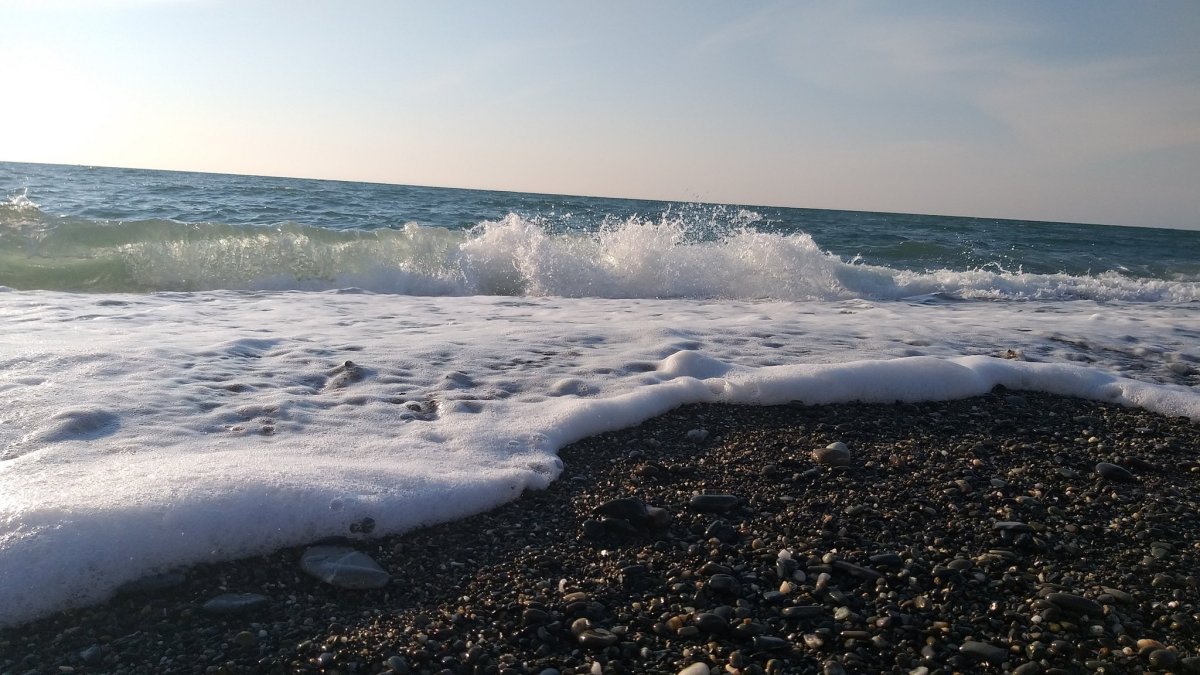Море черное море Адлер