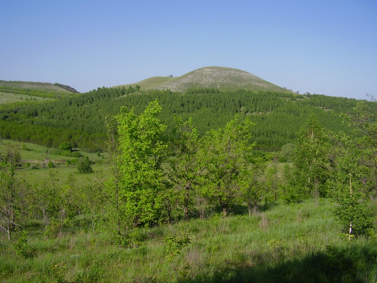Лысая (гора, Партизанский хребет)