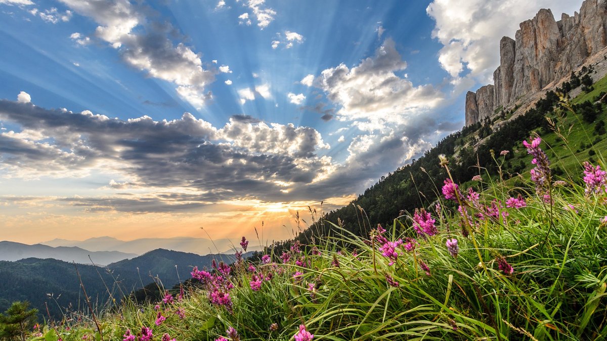 Гора большой Тхач Адыгея цветы