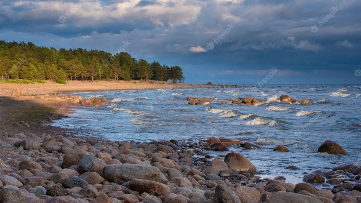 Российское побережье Балтийского моря Выборг