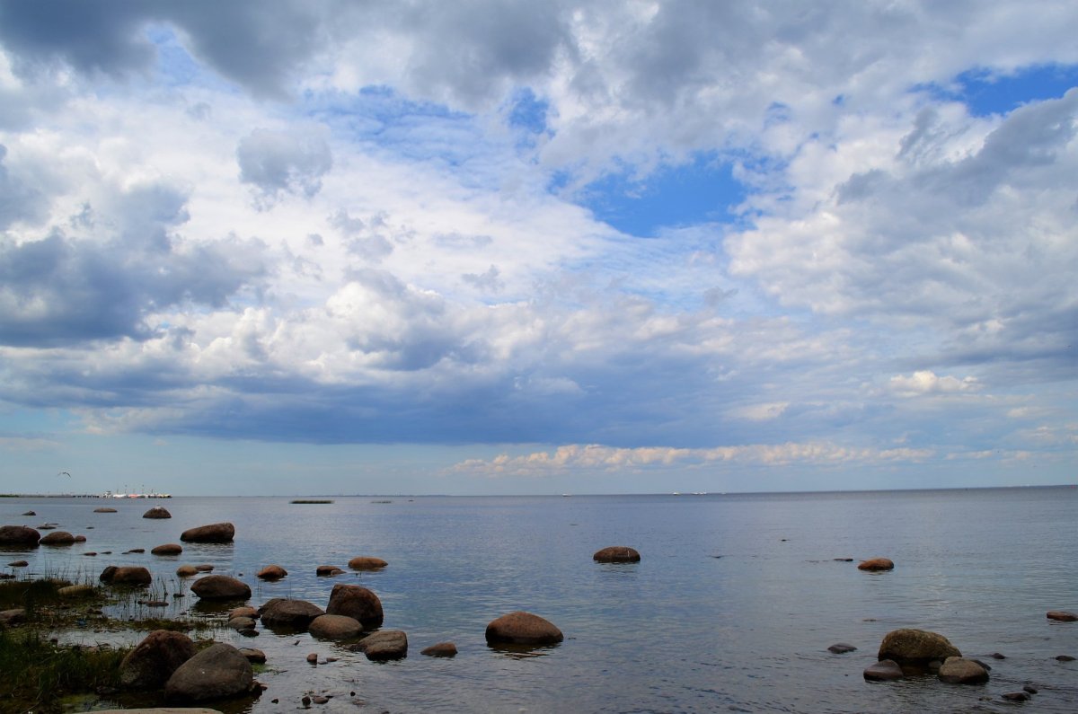 Финский залив Балтийского моря Петергоф