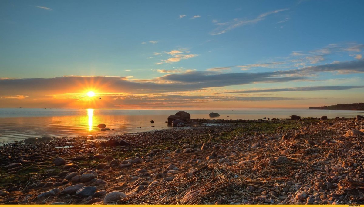 Берег Балтийского моря финский залив