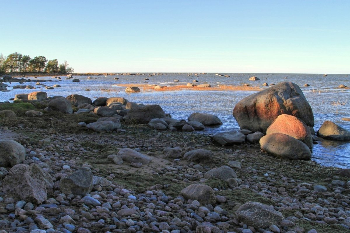 Балтика финский залив