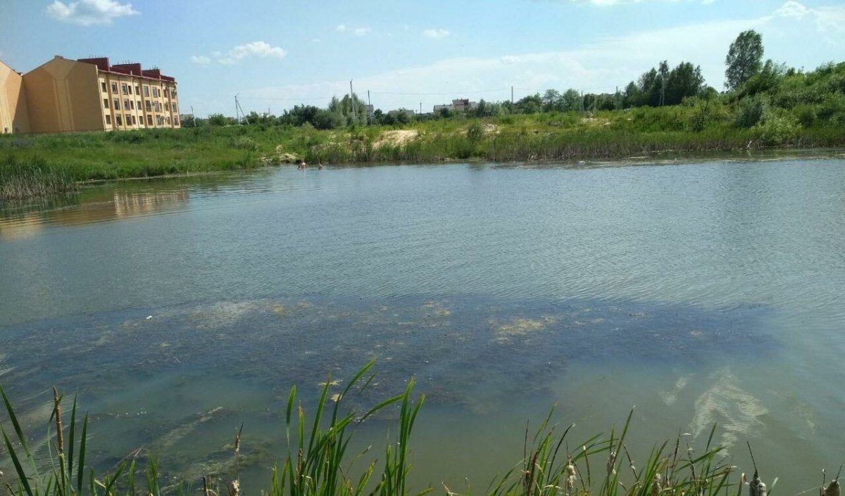 Пундоловское озеро в Янино рыбалка