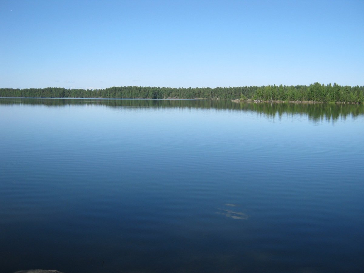 Озеро Данилово Муромцевский
