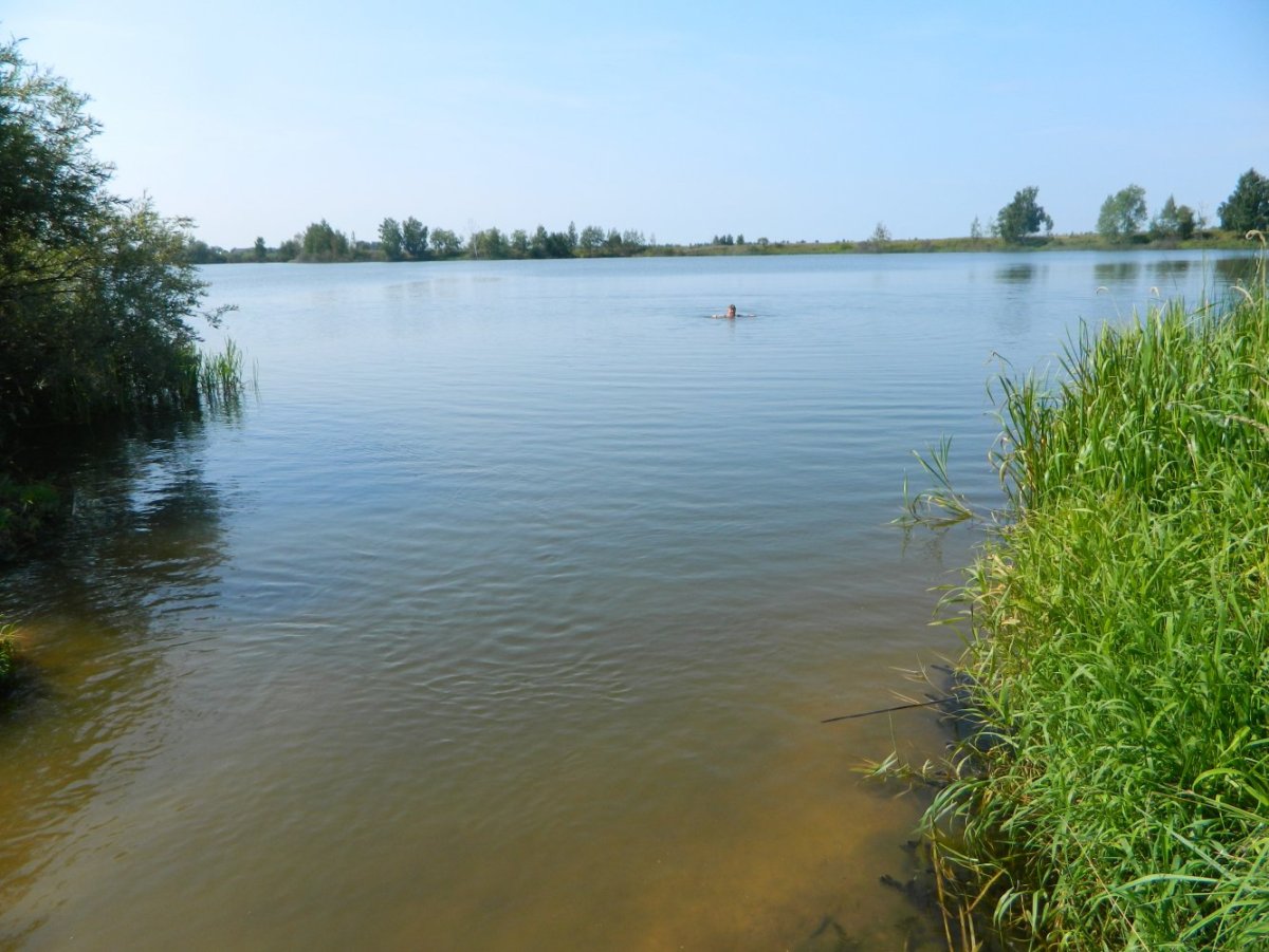 Озеро Шачебольское Ярославская область