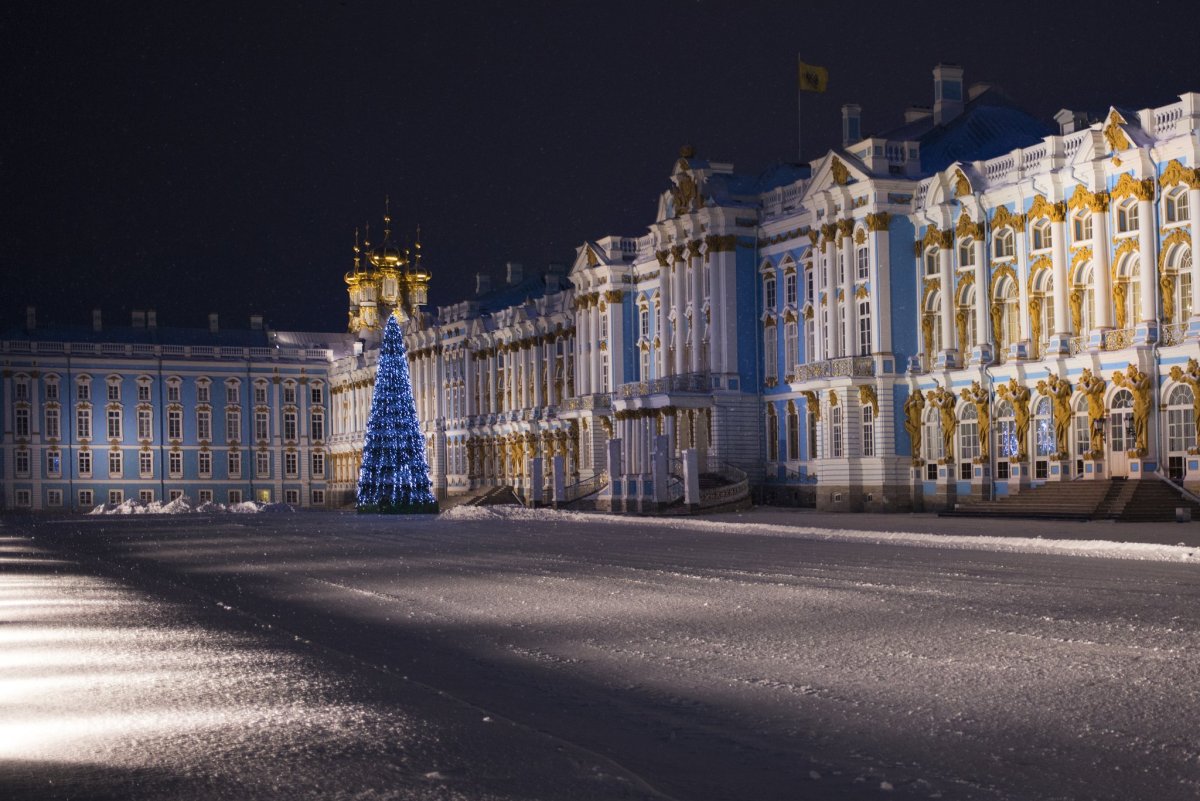 Екатерининский дворец зимой красивые фото