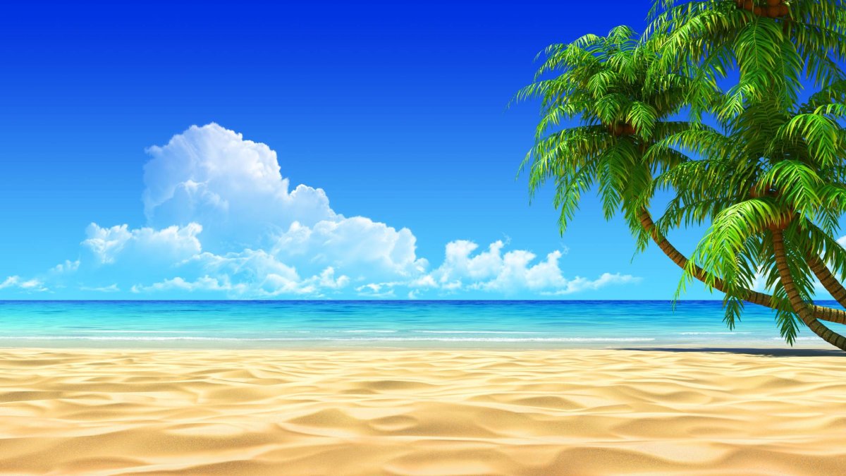 Пляж песок пальмы
