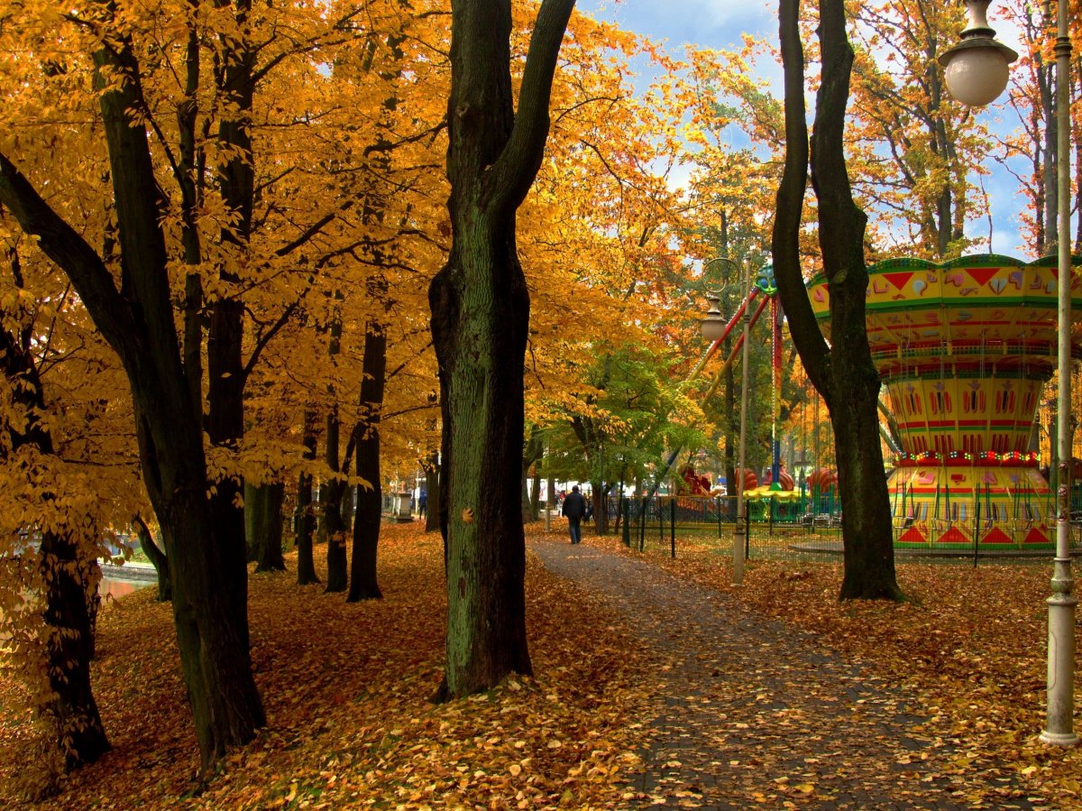 Осень парк Махачкала