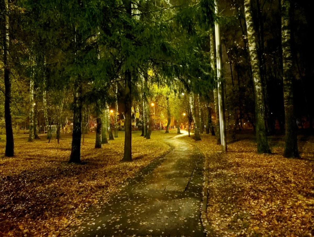 Тула парк Белоусова осень аллеи
