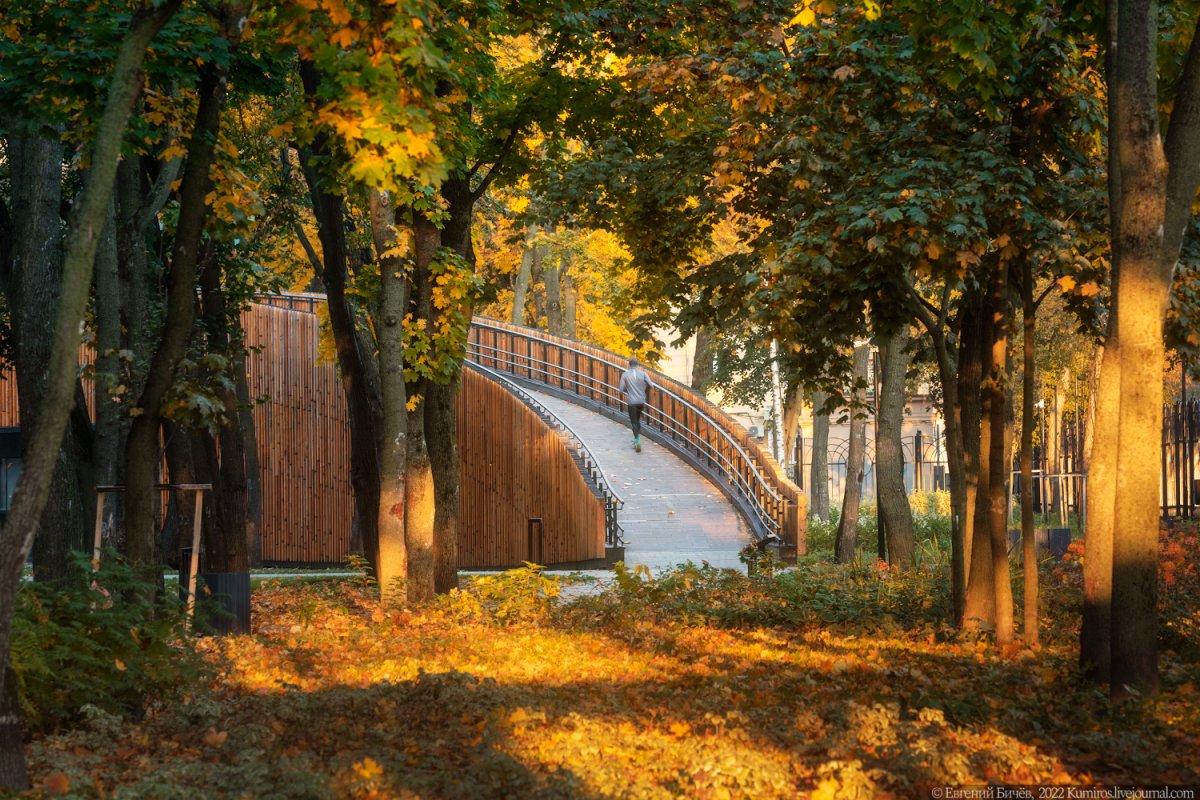 Осень Воронеж парк