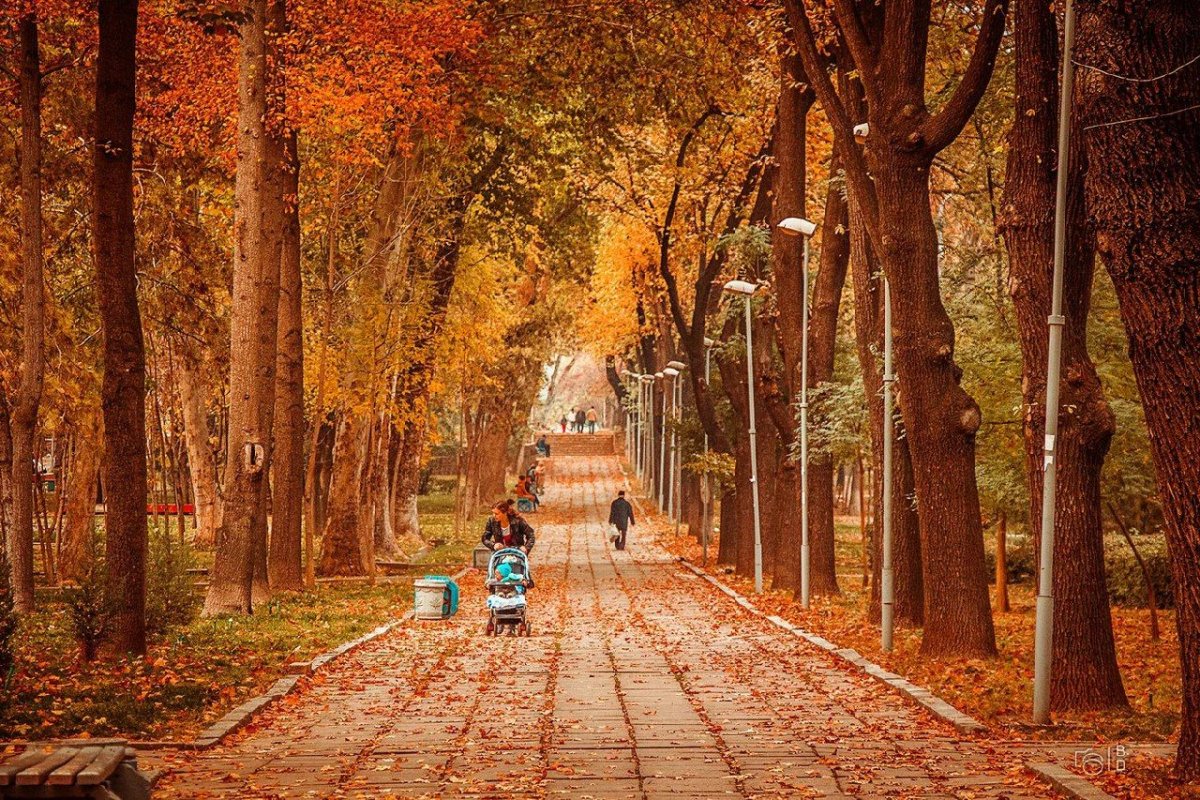 Золотая осень в Ташкенте