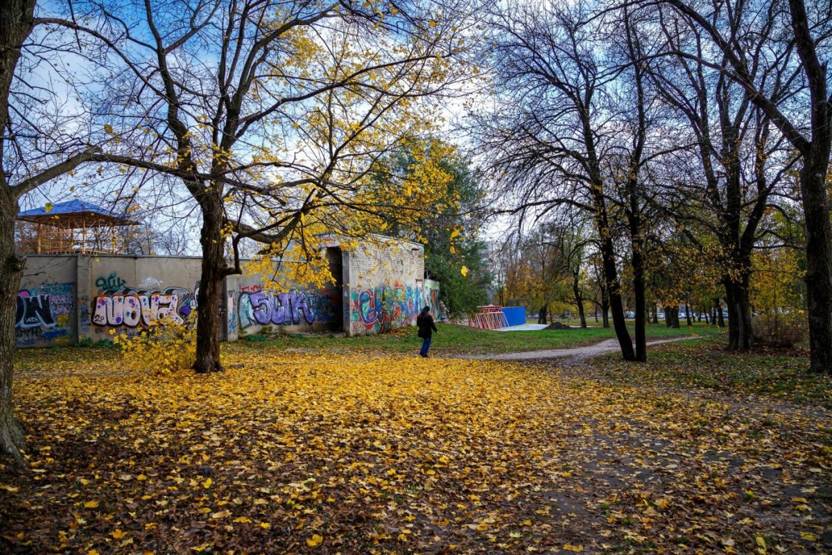 Белгород парк осень