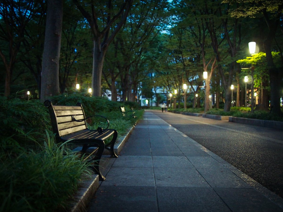 Ночной город парк