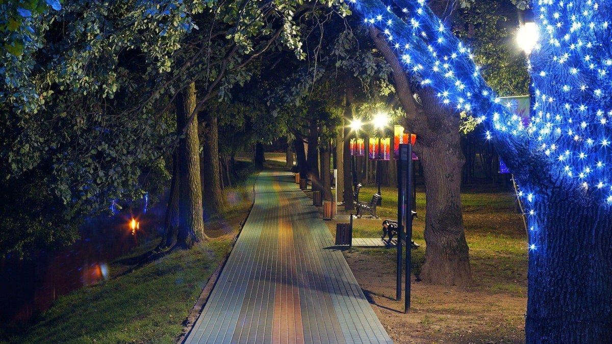 Лианозовский парк фонари