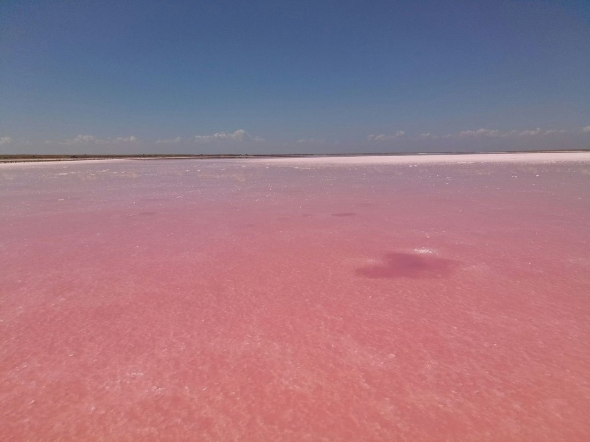 Мыс Тарханкут розовое озеро