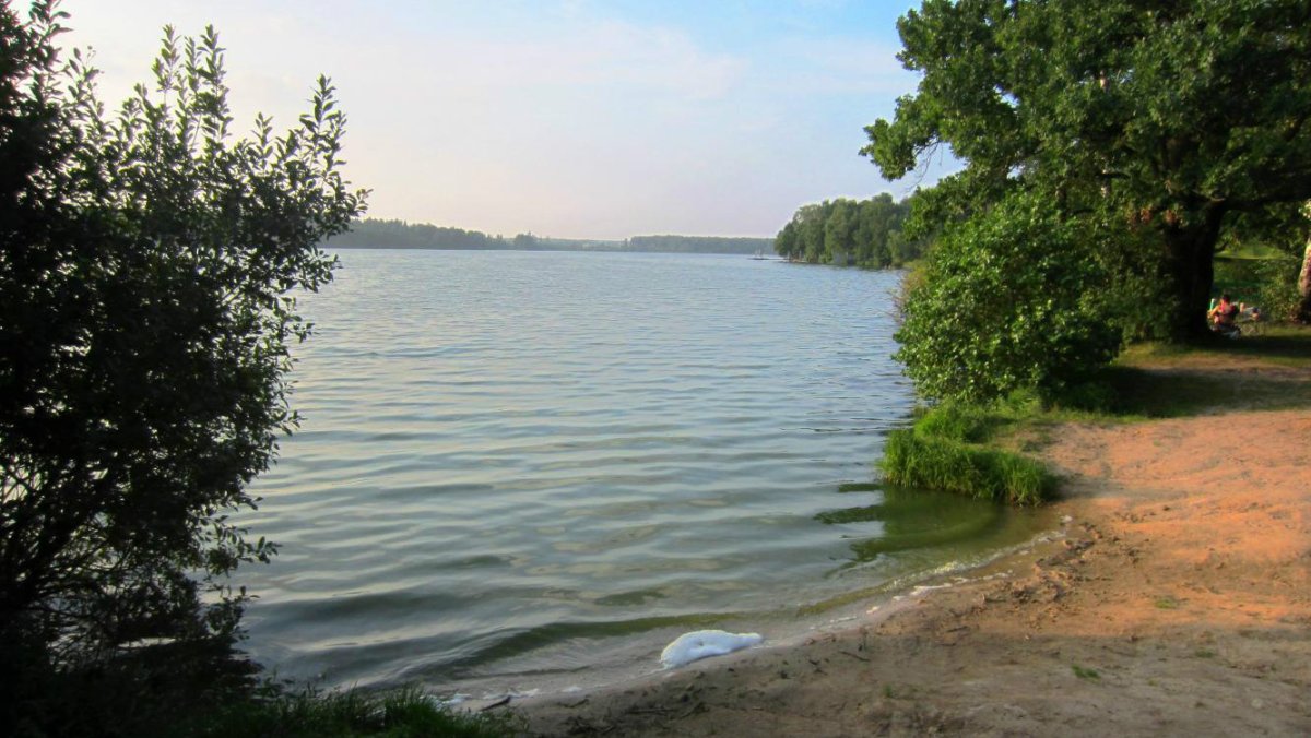 Купавна озеро