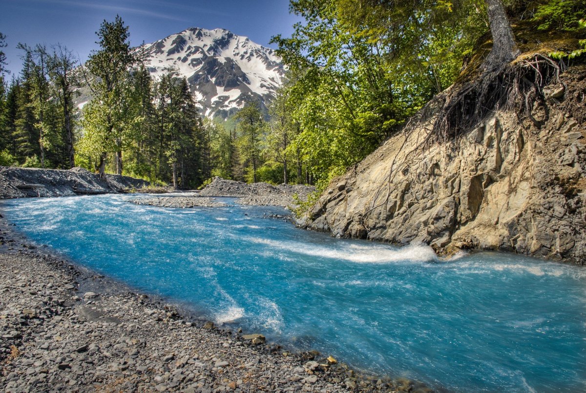 Две большие реки Аляски