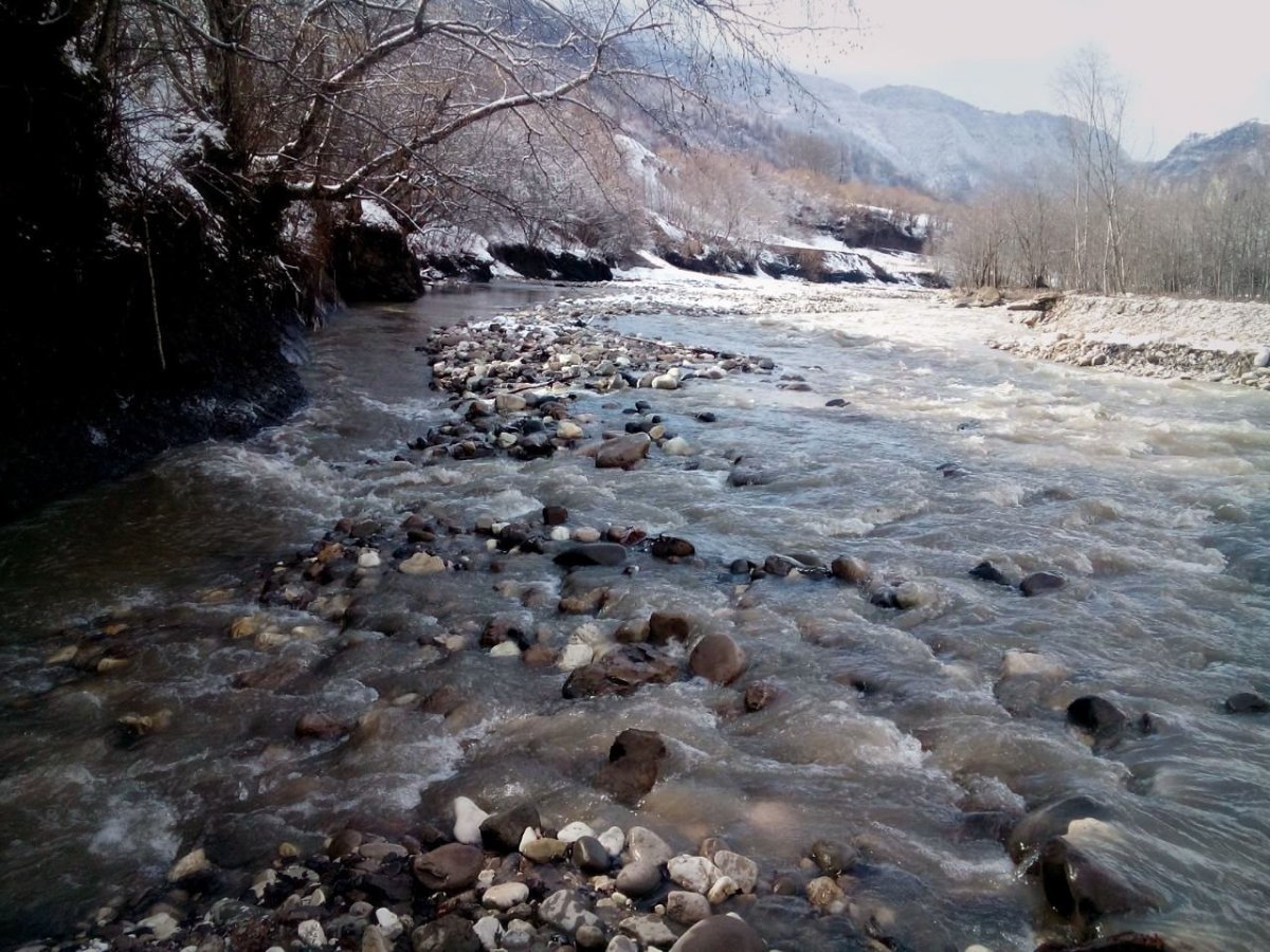 Река Аргун в Чечне
